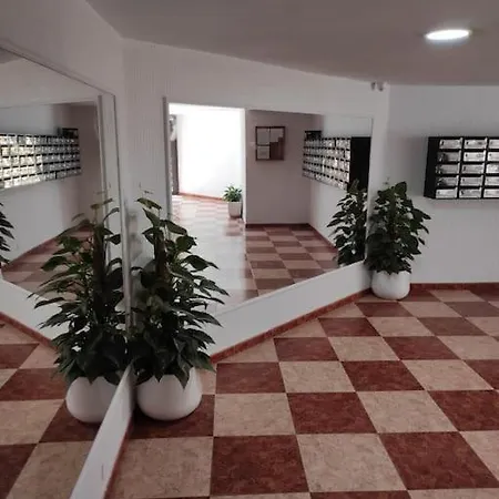 Estudio Centrico En